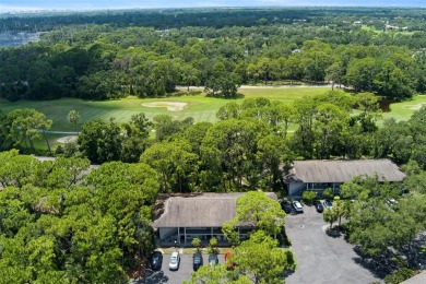 GOLF COURSE VIEWS - RESORT AMENITIES - PRIME LOCATION!!!
 on The Meadows Golf and Country Club in Florida - for sale on GolfHomes.com, golf home, golf lot