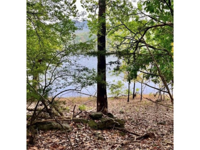 Build your dream home or invest in this gorgeous lakefront lot on Holiday Island Executive Golf Course in Arkansas - for sale on GolfHomes.com, golf home, golf lot