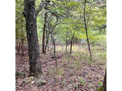 Build your dream home or invest in this gorgeous lakefront lot on Holiday Island Executive Golf Course in Arkansas - for sale on GolfHomes.com, golf home, golf lot