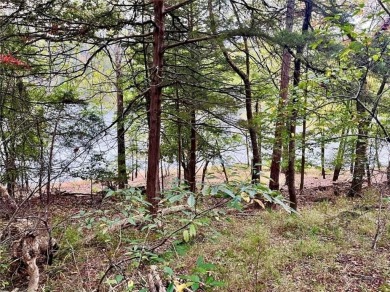 Build your dream home or invest in this gorgeous lakefront lot on Holiday Island Executive Golf Course in Arkansas - for sale on GolfHomes.com, golf home, golf lot