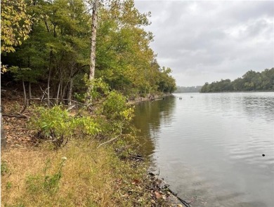 Build your dream home or invest in this gorgeous lakefront lot on Holiday Island Executive Golf Course in Arkansas - for sale on GolfHomes.com, golf home, golf lot