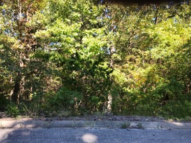 Bargain Priced lot in Gated Lake Front Subdivision on Buffalo Ridge Springs Golf Club in Missouri - for sale on GolfHomes.com, golf home, golf lot