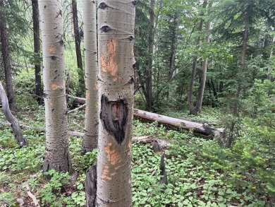 Discover the beauty and seclusion of Lot 59, a rare opportunity on The River Course At Keystone in Colorado - for sale on GolfHomes.com, golf home, golf lot