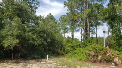 No pilings required--no flood insurance required Golf Course on St. James Bay in Florida - for sale on GolfHomes.com, golf home, golf lot