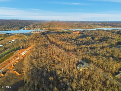 Don't miss your chance to own the largest lot on the street in on Tennessee National Golf Club in Tennessee - for sale on GolfHomes.com, golf home, golf lot