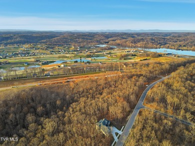 Don't miss your chance to own the largest lot on the street in on Tennessee National Golf Club in Tennessee - for sale on GolfHomes.com, golf home, golf lot