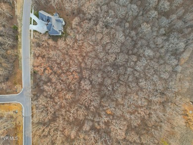 Don't miss your chance to own the largest lot on the street in on Tennessee National Golf Club in Tennessee - for sale on GolfHomes.com, golf home, golf lot