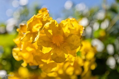 The Ultimate in Resort-Style Living offers a wide variety of on Encanterra Country Club in Arizona - for sale on GolfHomes.com, golf home, golf lot