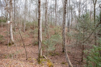 Set in the heart of Buckhorn Estates, these two wooded lots on White Path Golf Club in Georgia - for sale on GolfHomes.com, golf home, golf lot