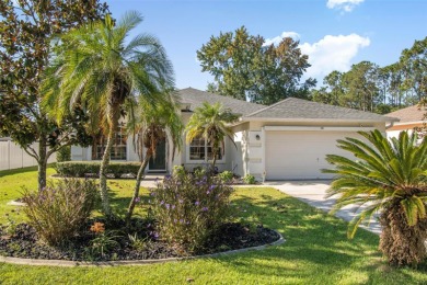 If you are dreaming of the Florida lifestyle near shopping on The Grand Club Cypress Course in Florida - for sale on GolfHomes.com, golf home, golf lot