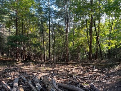 This is a fantastic wooded double lot on a quiet cul-de-sac on The Highlands Course at Lake Arrowhead in Georgia - for sale on GolfHomes.com, golf home, golf lot
