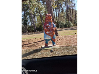 Wooded lot across the street from waterfront property on on Harbour Point Golf Club in North Carolina - for sale on GolfHomes.com, golf home, golf lot