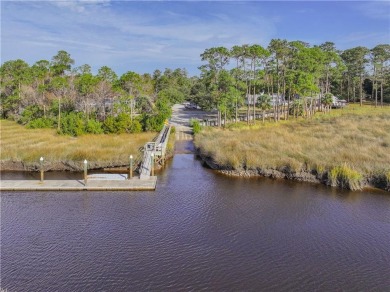 Discover the unmatched beauty of this Southern gem with on The Club At Osprey Cove in Georgia - for sale on GolfHomes.com, golf home, golf lot