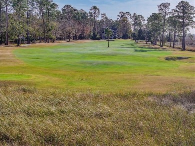 Discover the unmatched beauty of this Southern gem with on The Club At Osprey Cove in Georgia - for sale on GolfHomes.com, golf home, golf lot