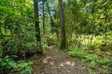 Located in the heart of Sapphire Valley, this well-maintained on Sapphire National Golf Club in North Carolina - for sale on GolfHomes.com, golf home, golf lot