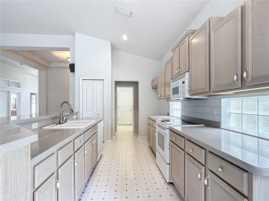 Discover your dream Florida retreat at 223 W Doerr Path on Skyview At Terra Vista Golf and Country Club in Florida - for sale on GolfHomes.com, golf home, golf lot