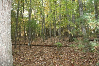 Lot 6 - 2.07 Acres, is located in Pipestem Pointe is a private on Pipestem Golf Club - Regulation in West Virginia - for sale on GolfHomes.com, golf home, golf lot