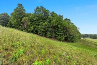 Create your perfect home on a stunning lot within the on Champion Hill Golf Club in Michigan - for sale on GolfHomes.com, golf home, golf lot