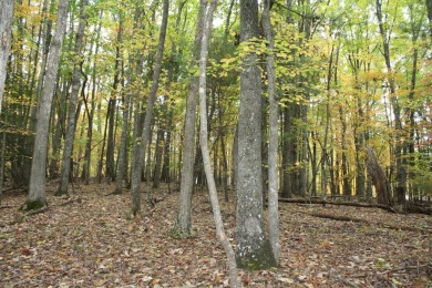 Lot 6 - 2.07 Acres, is located in Pipestem Pointe is a private on Pipestem Golf Club - Regulation in West Virginia - for sale on GolfHomes.com, golf home, golf lot