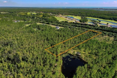 5.17 Acres in Palm Coast - Privacy, Space, and Endless on Conservatory Course At Hammock Beach Resort in Florida - for sale on GolfHomes.com, golf home, golf lot