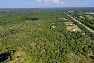 5.17 Acres in Palm Coast - Privacy, Space, and Endless on Conservatory Course At Hammock Beach Resort in Florida - for sale on GolfHomes.com, golf home, golf lot