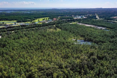 5.17 Acres in Palm Coast - Privacy, Space, and Endless on Conservatory Course At Hammock Beach Resort in Florida - for sale on GolfHomes.com, golf home, golf lot