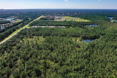 5.17 Acres in Palm Coast - Privacy, Space, and Endless on Conservatory Course At Hammock Beach Resort in Florida - for sale on GolfHomes.com, golf home, golf lot