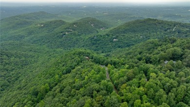 Prime Potential Valley View Lot in The Cliffs at Glassy on The Cliffs at Glassy Golf and Country Club in South Carolina - for sale on GolfHomes.com, golf home, golf lot