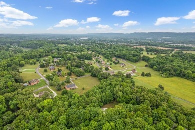 Welcome to Clara Chase Estates, one of Ooltewah's best-kept on The Champions Club At Hampton Creek in Tennessee - for sale on GolfHomes.com, golf home, golf lot