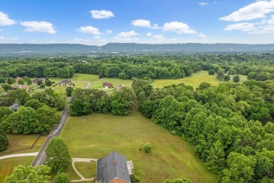 Welcome to Clara Chase Estates, one of Ooltewah's best-kept on The Champions Club At Hampton Creek in Tennessee - for sale on GolfHomes.com, golf home, golf lot