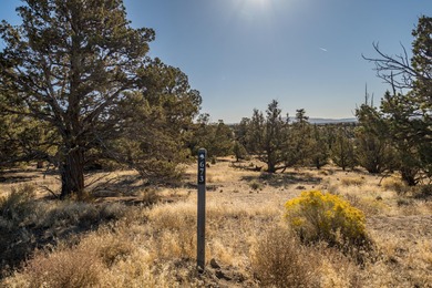 Spectacular Golf Course Lot with Cascade Mountain Views on Brasada Canyons Golf Course in Oregon - for sale on GolfHomes.com, golf home, golf lot