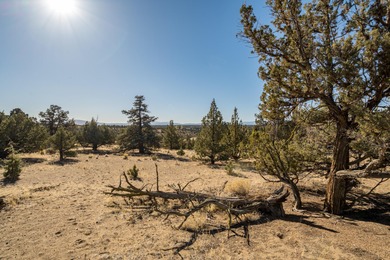 Spectacular Golf Course Lot with Cascade Mountain Views on Brasada Canyons Golf Course in Oregon - for sale on GolfHomes.com, golf home, golf lot