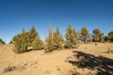 Spectacular Golf Course Lot with Cascade Mountain Views on Brasada Canyons Golf Course in Oregon - for sale on GolfHomes.com, golf home, golf lot