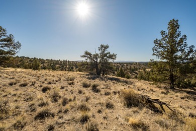 Spectacular Golf Course Lot with Cascade Mountain Views on Brasada Canyons Golf Course in Oregon - for sale on GolfHomes.com, golf home, golf lot