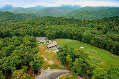 Chinquapin spans an impressive 2,000 acres with more than 700 on Natures Walk At Chinquapin in North Carolina - for sale on GolfHomes.com, golf home, golf lot