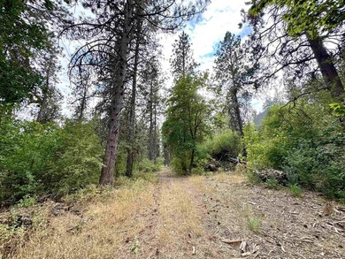 Attention Builders & Investors! Don't miss this prime on Indian Canyon Golf Course in Washington - for sale on GolfHomes.com, golf home, golf lot