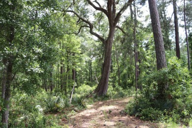 Embrace Lowcountry Living and build your dream home on Lot 46 on DeBordieu Country Club in South Carolina - for sale on GolfHomes.com, golf home, golf lot