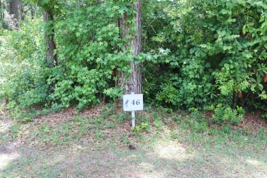 Embrace Lowcountry Living and build your dream home on Lot 46 on DeBordieu Country Club in South Carolina - for sale on GolfHomes.com, golf home, golf lot