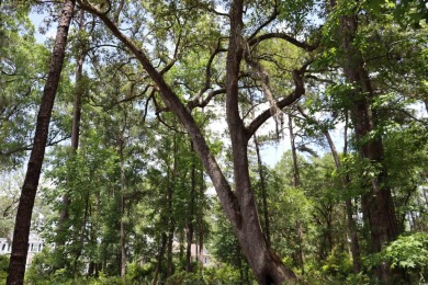 Embrace Lowcountry Living and build your dream home on Lot 46 on DeBordieu Country Club in South Carolina - for sale on GolfHomes.com, golf home, golf lot