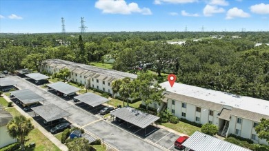 Fully Renovated First-Floor Condo in East Lake Woodlands!
 on East Lake Woodlands Country Club in Florida - for sale on GolfHomes.com, golf home, golf lot