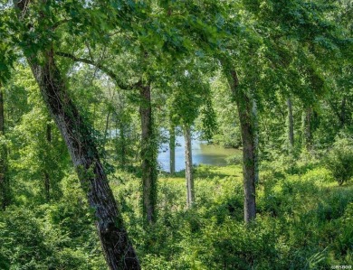 Welcome to your dream home in the prestigious neighborhood of on Diamondhead Golf and Country Club in Arkansas - for sale on GolfHomes.com, golf home, golf lot