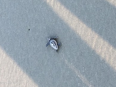 TASTEFULLY REMODELLED 10/1/2025,,,This charming condo with on Sandpiper Bay Golf and Country Club in North Carolina - for sale on GolfHomes.com, golf home, golf lot