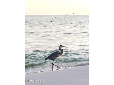 TASTEFULLY REMODELLED 10/1/2025,,,This charming condo with on Sandpiper Bay Golf and Country Club in North Carolina - for sale on GolfHomes.com, golf home, golf lot