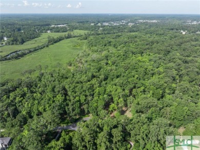 Embrace the epitome of luxury living at Georgia's premier on The Ford Field and River Club  in Georgia - for sale on GolfHomes.com, golf home, golf lot