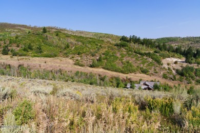 Build Your Dream Mountain Retreat in Cordillera! This desirable on Club At Cordillera Summit Course in Colorado - for sale on GolfHomes.com, golf home, golf lot