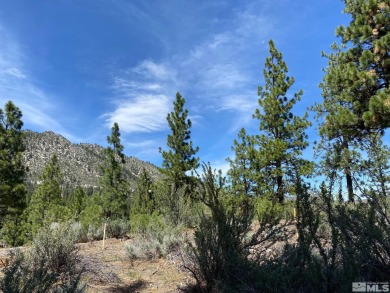 At the spot where Chamberlain Court ascends from the base is a on Clear Creek Tahoe in Nevada - for sale on GolfHomes.com, golf home, golf lot