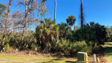 RARE GOLF COURSE HOMESITE IN SWEETGRASS ON FRIPP ISLAND ON OCEAN on Ocean Creek Golf Course in South Carolina - for sale on GolfHomes.com, golf home, golf lot