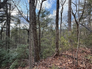 Building lot located in the established golf course community of on Kingwood Golf Club and Resort in Georgia - for sale on GolfHomes.com, golf home, golf lot