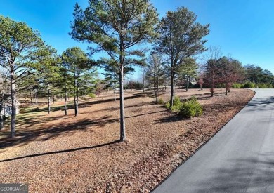 Welcome to the Fabulous Owen Glen! The ONLY Golf Course on Old Union Golf Course in Georgia - for sale on GolfHomes.com, golf home, golf lot