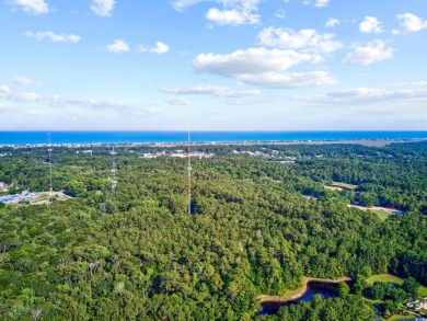 Discover your slice of Pawleys Island paradise with this on True Blue Plantation in South Carolina - for sale on GolfHomes.com, golf home, golf lot